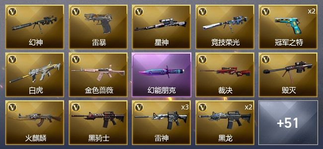 穿越火线（CF）61V武器 3V角色 29皮肤 可排位 专家