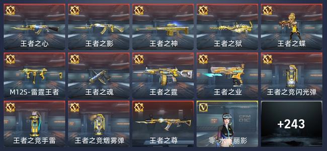 穿越火线：枪战王者13王者 244英雄武器 13英雄角色 473万化 新锐