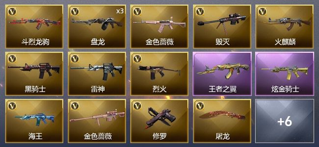 穿越火线（CF）1王者武器 1炫金武器 14V武器 1V角色 9皮肤 可排位 传奇