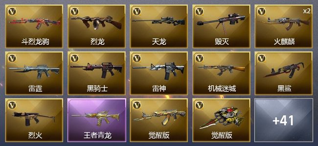 穿越火线（CF）2王者武器 1炫金武器 51V武器 3V角色 19皮肤 可排位