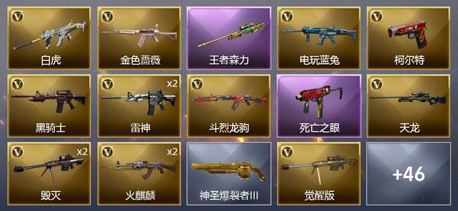 穿越火线（CF）1王者武器 55V武器 1V角色 48皮肤 可排位 传奇
