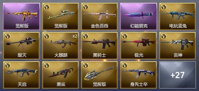 穿越火线（CF）1王者武器 49V武器 21皮肤 可排位 宗师