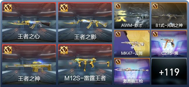 穿越火线：枪战王者V5 5王者 139英雄武器 2英雄角色 282万化 专家S