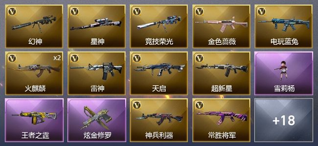 穿越火线（CF）2王者武器 1炫金武器 23V武器 2V角色 15皮肤 可排位