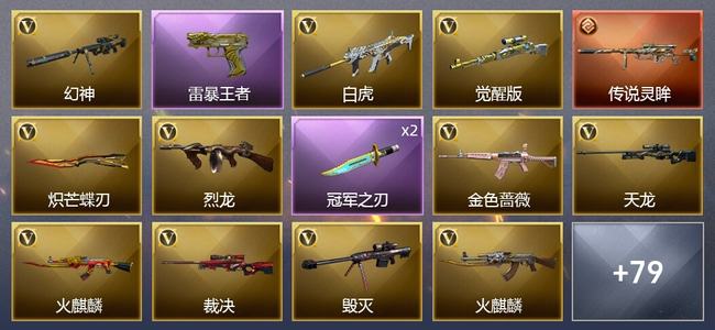 穿越火线（CF）1传说武器 4王者武器 1炫金武器 89V武器 7V角色 35皮肤 可排位 枪王