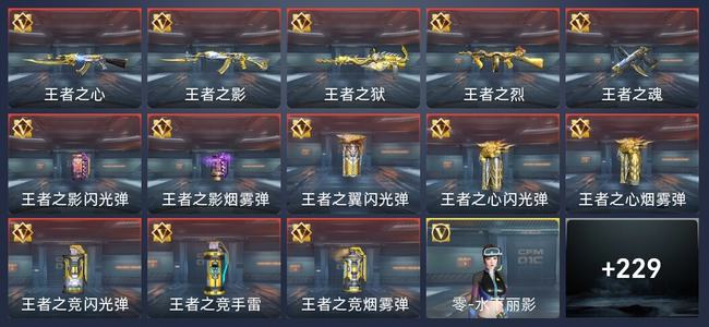穿越火线：枪战王者V8 297英雄武器 新锐