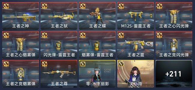 穿越火线：枪战王者V5 12王者 219英雄武器 6英雄角色 254万化 枪王SS