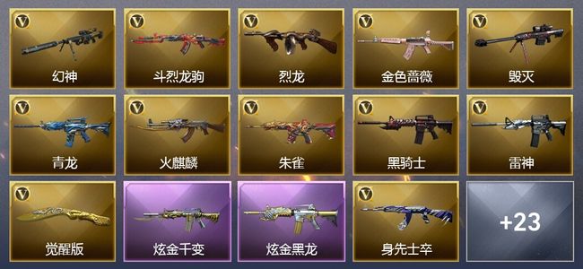 穿越火线（CF）2王者武器 2炫金武器 33V武器 22V角色 12皮肤 可排位