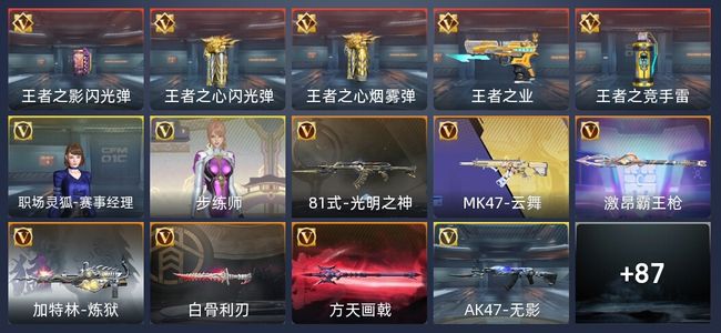 穿越火线：枪战王者V5 5王者 106英雄武器 2英雄角色 万化精英