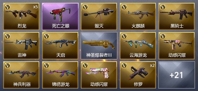 穿越火线（CF）24V武器 4皮肤 可排位 传奇