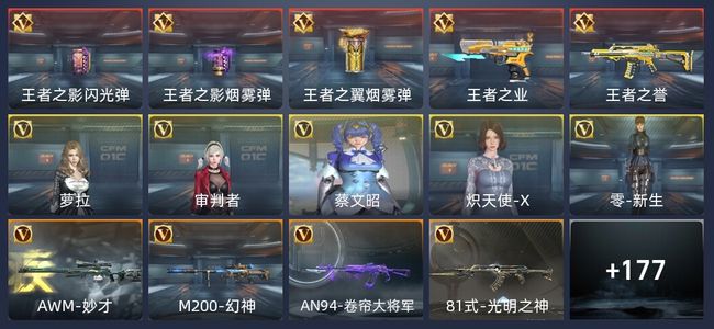 穿越火线：枪战王者V2 5王者 218英雄武器 5英雄角色 347万化 大师SS