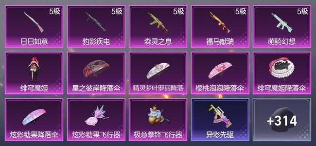 和平精英5升级枪 1粉装 2尾迹 199枪皮 146套装 48720热力 7印记 王牌