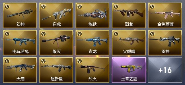 穿越火线（CF）1王者武器 2炫金武器 24V武器 14皮肤 可排位 新锐