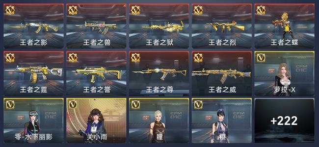 穿越火线：枪战王者V3 9王者 227英雄武器 9英雄角色 339万化 新锐