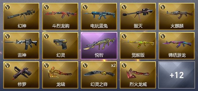 穿越火线（CF）1王者武器 39V武器 1V角色 9皮肤 可排位 传奇