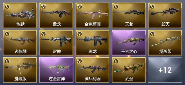 穿越火线（CF）1王者武器 1炫金武器 17V武器 2V角色 6皮肤 可排位