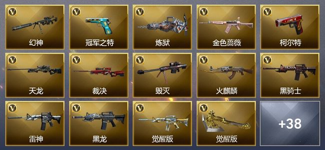 穿越火线（CF）5王者武器 3炫金武器 39V武器 18皮肤 可排位 新锐