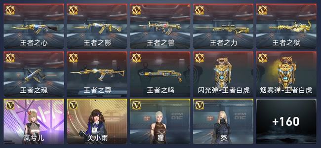 穿越火线：枪战王者V5 10王者 168英雄武器 6英雄角色 233万化 专家S