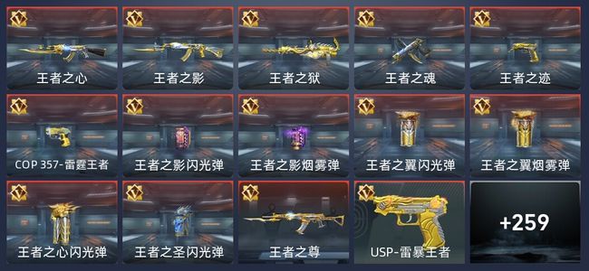 穿越火线：枪战王者V2 16王者 262英雄武器 11英雄角色 510万化 枪王S