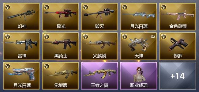 穿越火线（CF）1王者武器 1炫金武器 26V武器 10皮肤 可排位 新锐