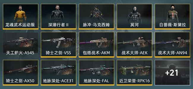 暗区突围库存价值23.3M 1手套 13近战武器 5金套装 16金枪皮 信誉5级 王牌