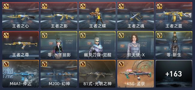 穿越火线：枪战王者V1 6王者 196英雄武器 4英雄角色 285万化 大师SS