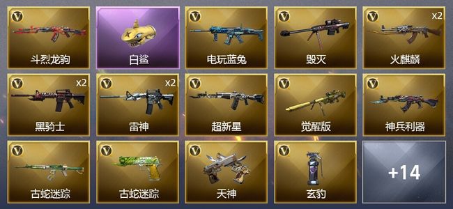 穿越火线（CF）24V武器 15皮肤 可排位 枪王