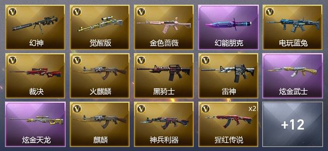 穿越火线（CF）2炫金武器 21V武器 9皮肤 可排位 新锐