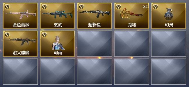 穿越火线（CF）6V武器 1V角色 2皮肤 可排位 专家