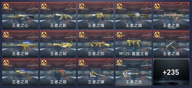 穿越火线：枪战王者31王者 235英雄武器 14英雄角色 393万化 新锐