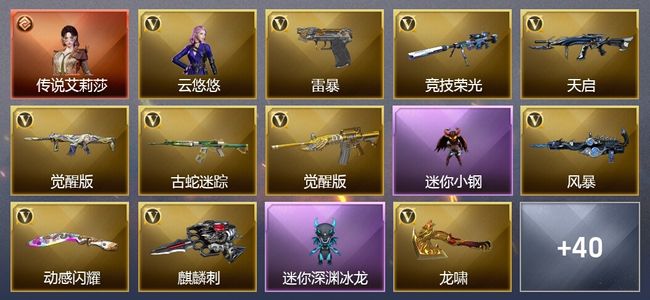 穿越火线（CF）1传说角色 1王者武器 1炫金武器 51V武器 4V角色 13皮肤 可排位 新锐