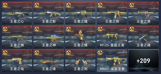 穿越火线：枪战王者29王者 216英雄武器 7英雄角色 142万化 专家S