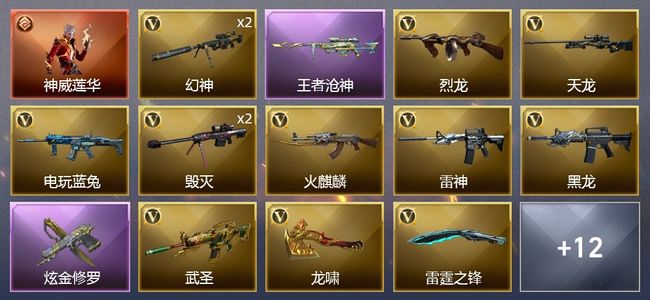 穿越火线（CF）1传说角色 1王者武器 1炫金武器 22V武器 2V角色 8皮肤 可排位 传奇