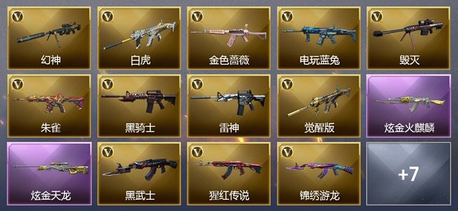 穿越火线（CF）2炫金武器 20V武器 9皮肤 可排位 新锐