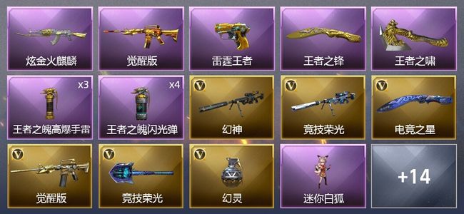 穿越火线（CF）6王者武器 1炫金武器 21V武器 5皮肤 可排位 大师