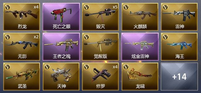 穿越火线（CF）1王者武器 1炫金武器 31V武器 1V角色 10皮肤 可排位 枪王