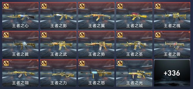 穿越火线：枪战王者V10 56王者 365英雄武器 11英雄角色 714万化 专家