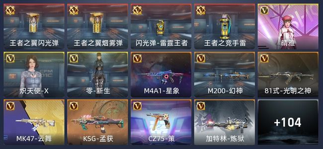 穿越火线：枪战王者4王者 115英雄武器 3英雄角色 251万化 新锐