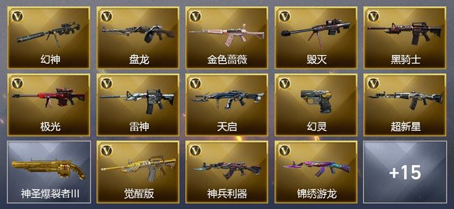 穿越火线（CF）23V武器 12皮肤 可排位