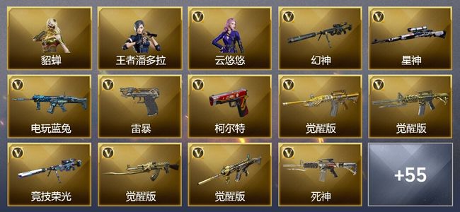 穿越火线（CF）5王者武器 1炫金武器 51V武器 4V角色 25皮肤 可排位 枪王