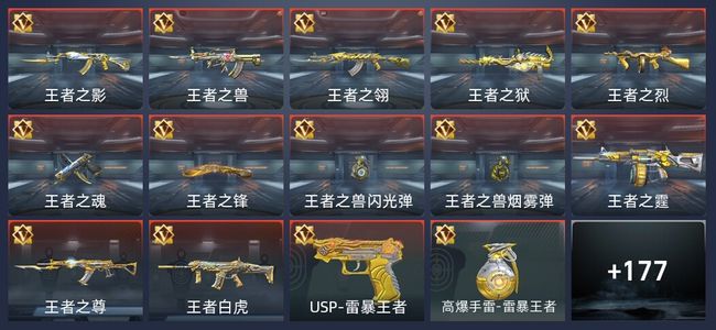 穿越火线：枪战王者V7 19王者 209英雄武器 274万化 枪王