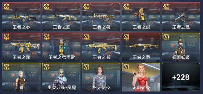 穿越火线：枪战王者V5 9王者 234英雄武器 8英雄角色 384万化 新锐