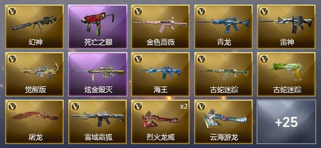 穿越火线（CF）1炫金武器 23V武器 1V角色 3皮肤 可排位 新锐