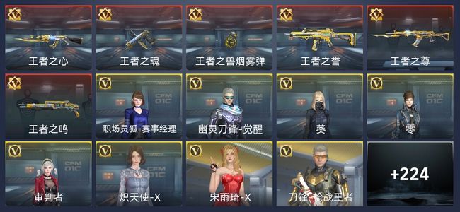 穿越火线：枪战王者V2 6王者 229英雄武器 9英雄角色 293万化 枪王