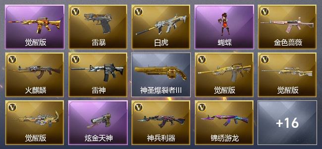 穿越火线（CF）1王者武器 1炫金武器 30V武器 1V角色 5皮肤 可排位 新锐