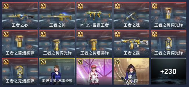 穿越火线：枪战王者V5 11王者 239英雄武器 6英雄角色 299万化 枪神