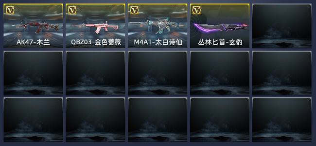 穿越火线：枪战王者4英雄武器 新锐