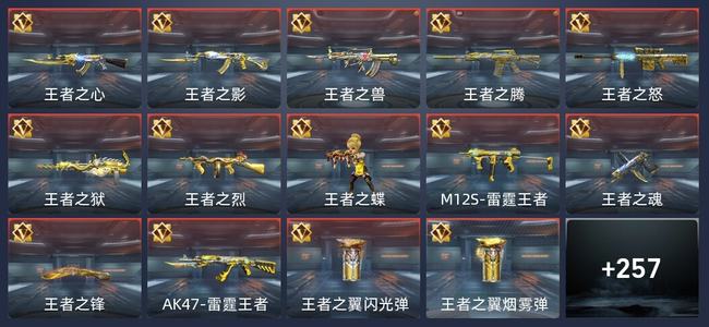 穿越火线：枪战王者24王者 263英雄武器 8英雄角色 291万化 专家S
