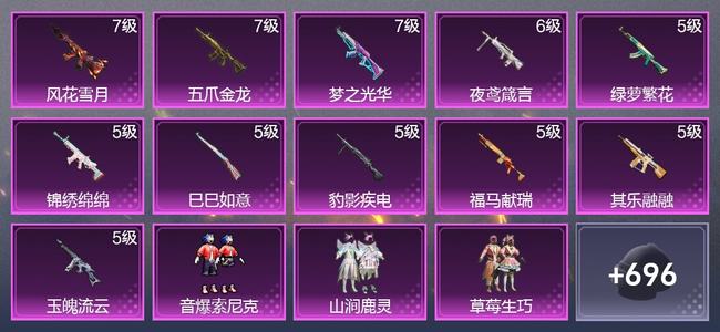 和平精英11升级枪 9粉装 6尾迹 406枪皮 316套装 12,4974热力 25印记 皇冠