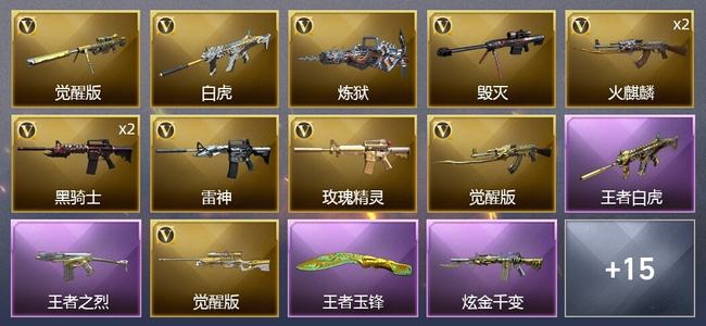 穿越火线（CF）6王者武器 4炫金武器 18V武器 1V角色 5皮肤 可排位 专家